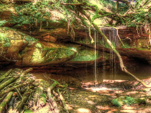Wasserschaupfad Otterbachtal im Mai