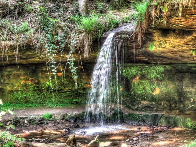 Wasserschaupfad Otterbachtal im Mai