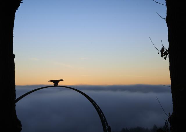 Der Adlerbogen im Januar 2022. Eine dicke Nebeldecke über dem Donnersberger Land. 