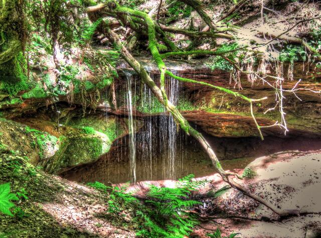 Wasserschaupfad Otterbachtal im Mai