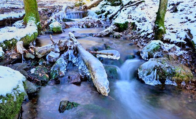 Wasser, Eis &amp; Schnee. 3 Variationen in einem Bild. 
Februar 2021 - Wildensteiner Tal im Donnersberg. 