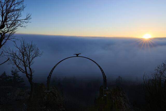Sonnenaufgang am Adlerbogen im Januar 2022. Eine dicke Nebeldecke über dem Donnersberger Land. 