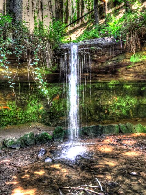 Wasserschaupfad Otterbachtal im Mai