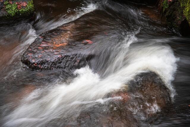 Wasser / Karlstalschlucht / Januar 
Bild: privat / Georg Beck