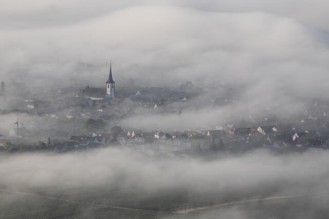 Maikammer im Nebel / September
Bild: privat / Georg Beck