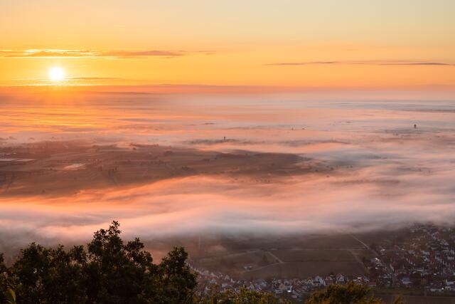 Nebel über der Weinstraße / Blick vom Sühnekreuz Neustadt / September
Bild: privat / Georg Beck