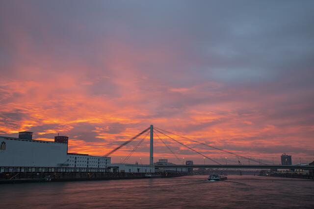 Sonnenaufgang über dem Rhein / Ludwigshafen / Februar
Bild: privat / Georg Beck