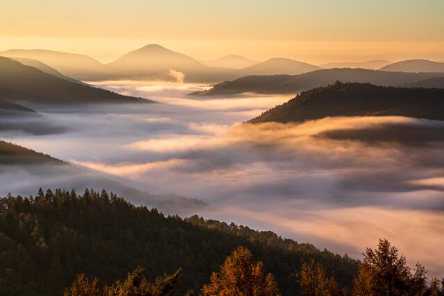 Nebel über dem Pfälzerwald - Blick vom Kirschfelsen / Annweiler / Oktober
Bild: privat / Georg Beck