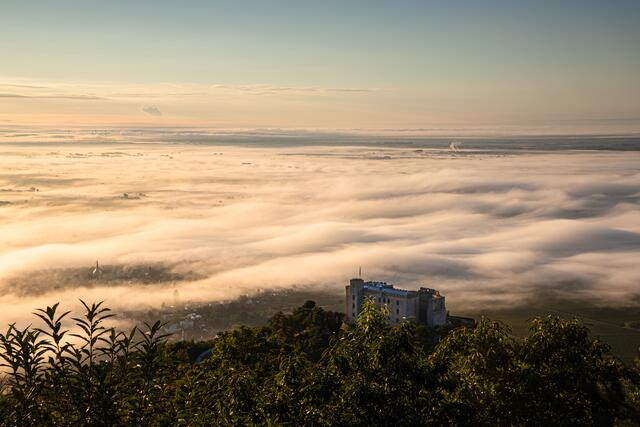 Nebel zu Füßen des Hambacher Schlosses / Neustadt / September
Bild: privat / Georg Beck
