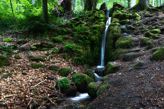 Wasserfall am Hilschweiher / Edenkoben / Mai
Bild: privat / Georg Beck