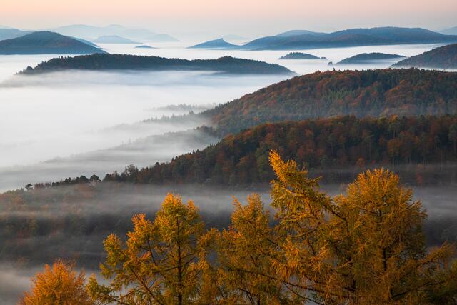 Herbst im Pfälzerwald - Blick vom Kirschfelsen / Annweiler / Oktober
Bild: privat / Georg Beck