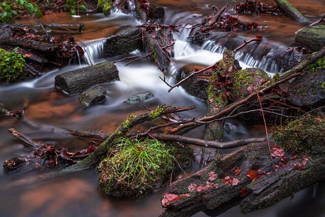 In der Karlstalschlucht / Januar
Bild: privat / Georg Beck