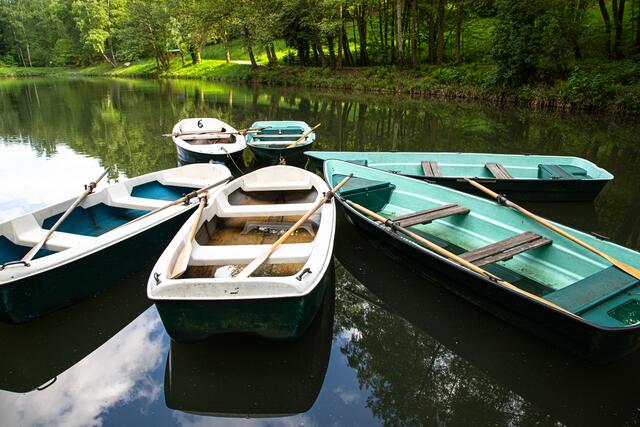 Boots-Treffen am Hilschweiher / Edenkoben / Mai
Bild: privat / Georg Beck