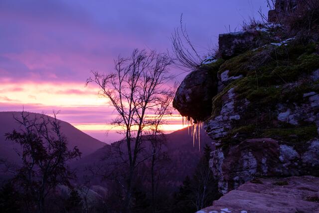 Deep purple ice / Burgruine Meistersel / Ramberg / Dezember
Bild: privat / Georg Beck 