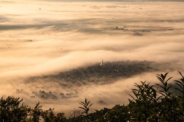 Diedesfeld im Nebel / Blick vom Sühnekreuz Neustadt / September
Bild: privat / Georg Beck