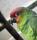 Ecuador-Amazone | Foto: Zoo Landau
