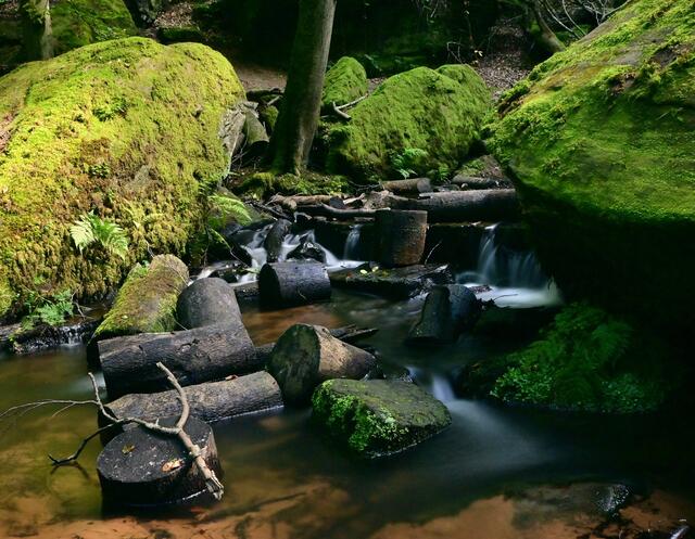 Karlstalsschlucht im September 2021