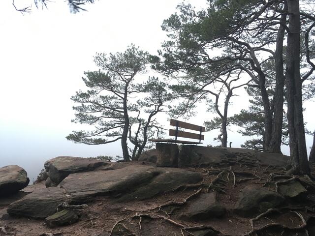 Rötzenfelsen im Nebel bei Gossersweiler-Stein  | Foto: Teschner Marco 