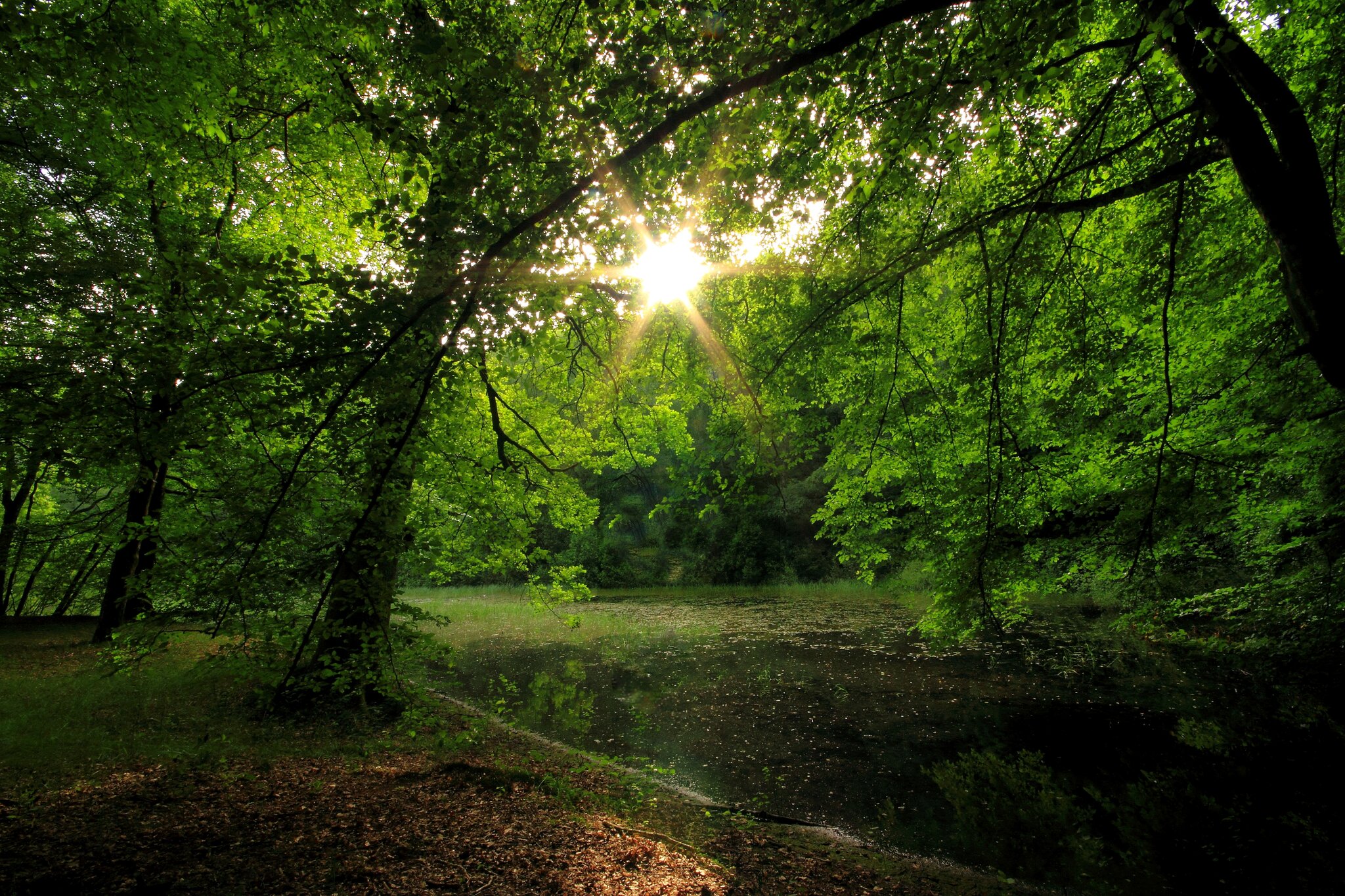 Ort der Stille Talkessel mit romantischem Weiher Naturschutzgebiet