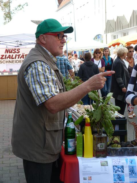 Foto: Stadtmarketing Schifferstadt