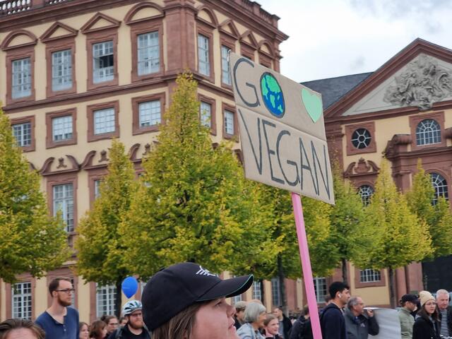 Foto: Basaric-Steinhübl