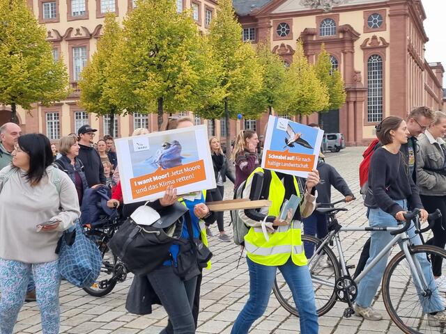 Foto: Basaric-Steinhübl