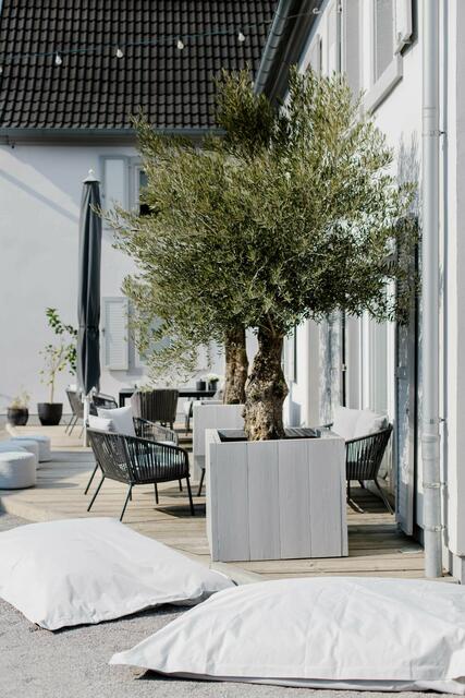 Foto: Sophia Winkler