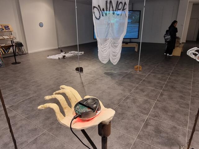 ... lädt aktuell in seine Ausstellung im ZOOM in der Rheingalerie ein  | Foto: Basaric-Steinhübl