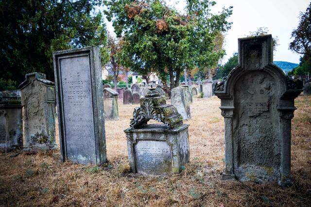 Etwa tausend Grabsteine sind auf dem jüdischen Friedhof in Wachenheim erhalten | Foto: Cornelia Bauer