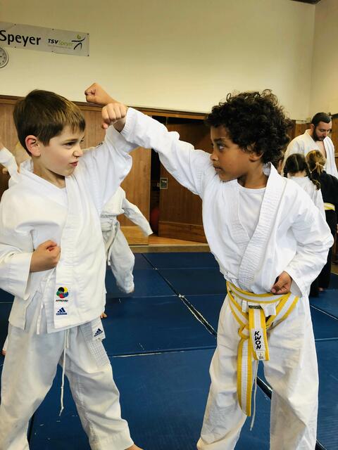 Einfache Abwehrübung mit Grundtechniken aus dem Karate | Foto: ps