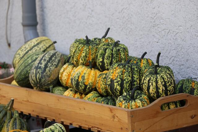 Kürbisse sind ein Muss auf dem Bauernmarkt in Bad Dürkheim | Foto: Heike Schwitalla