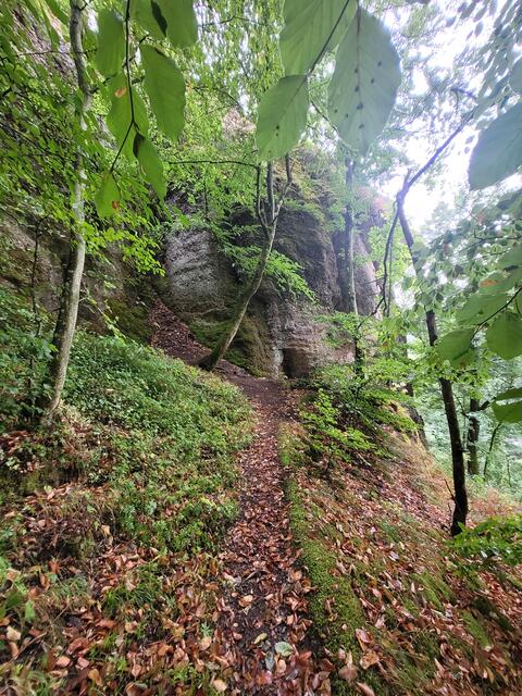 Dei Falkensteiner Schlucht | Foto: Pacher, Markus