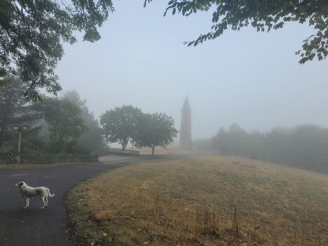 Ein einsamer Glockenturm bei Falkenstein | Foto: Pacher, Markus