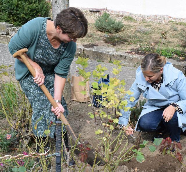 Erste Pflanzaktion im Projekt "Käferkarawane"