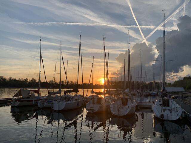 Kollerinsel zum Thema Wasser Baden und Pfalz  | Foto: Christian Wahl 