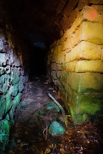 da Silva Dias Ricardo