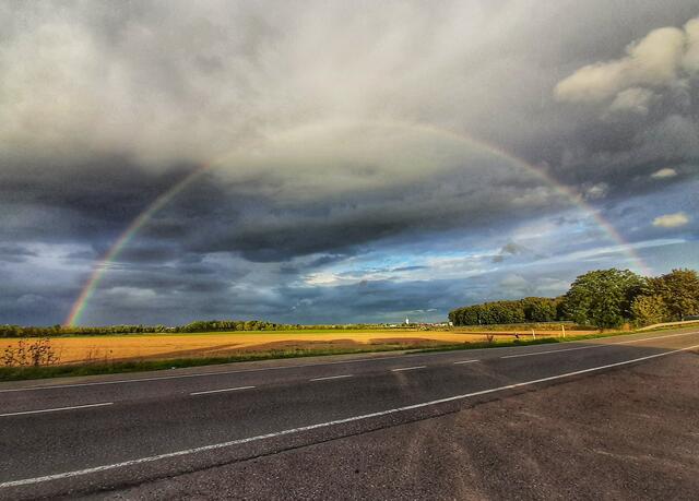 Zur richtigen Zeit am richtigen Ort! | Foto: Anita Lemmert 