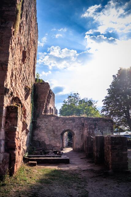 Foto: Johanna Preisler