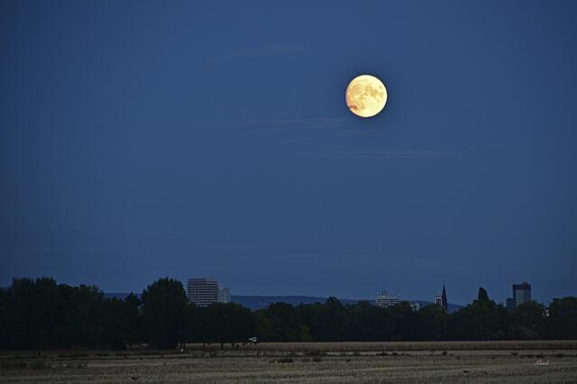 Mond über Ludwigshafen | Foto: Ilona Schäfer
