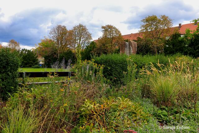 Herbststimmung | Foto: Soraja Eydam 