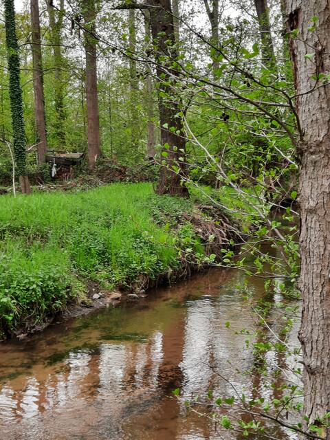 Rehbach in hassloch  | Foto: Günter Handrich 