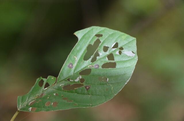 Foto: Heike Schwitalla