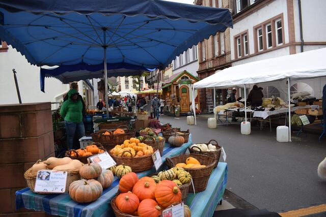 Herbstliche Farbtupfer | Foto: B. Bender