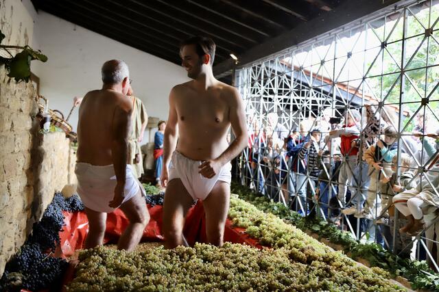 Fleißig Trauben stampfen, um Maische zu gewinnen und am (gärenden) Ende Wein  | Foto: Anne Sahler