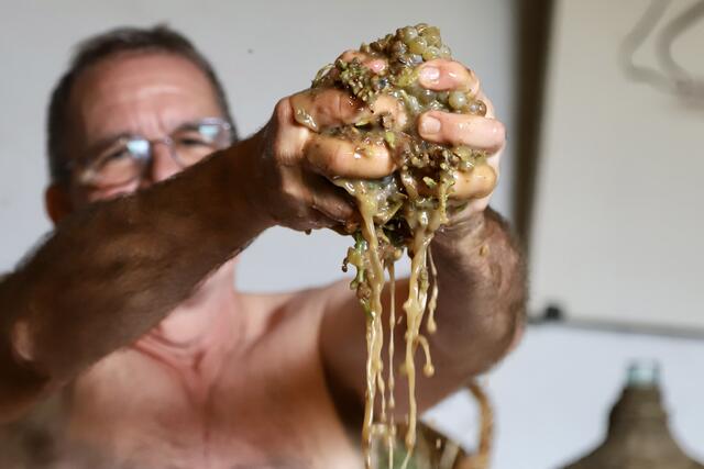 Der goldene Saft  | Foto: Anne Sahler