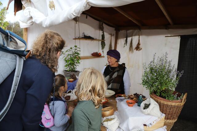 Thymian, Pinienkerne,… Die Gewürze der Römer waren abwechslungsreich | Foto: Anne Sahler
