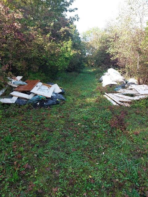 Foto: Stadtverwaltung Frankenthal