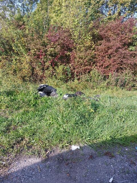 Foto: Stadtverwaltung Frankenthal