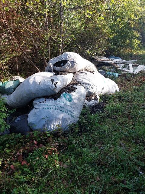Eine illegale Müllentsorgung - hat jemand etwas gesehen? | Foto: Stadtverwaltung Frankenthal