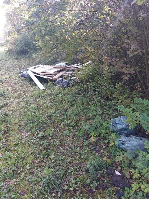 Foto: Stadtverwaltung Frankenthal